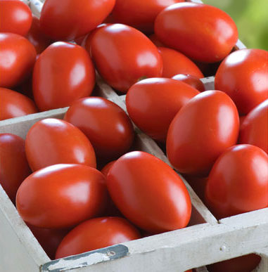 Помидор Гранадеро F1 5шт