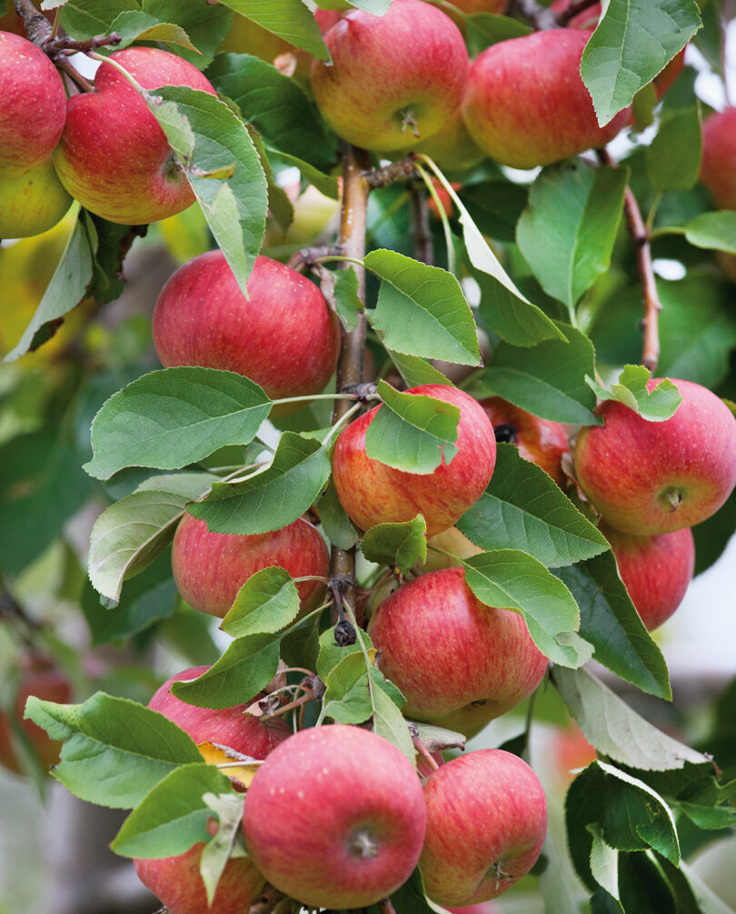 Anna Gold pornosini tomosha qiling Plyajdagi qizlarning yalangoch fotosuratlari va videolari