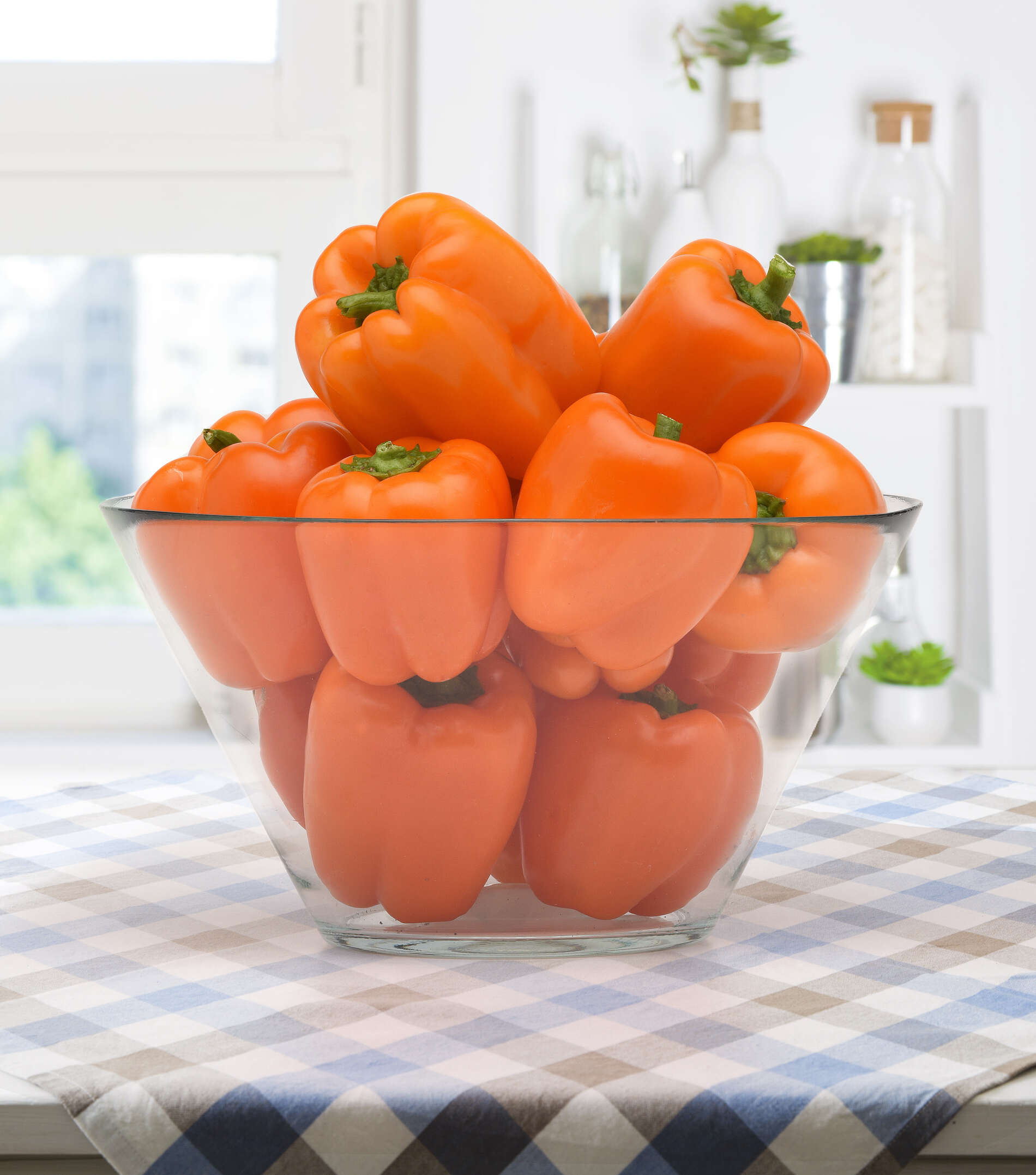 Купить семена Перец Оранжевый мармелад сладкий — от НПО Сады Росcии