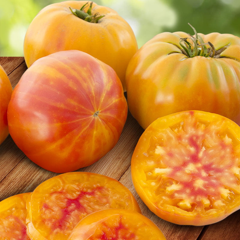 Почему помидоры желтые. Томат загадка природы. Сорт томата загадка природы. Семена томат загадка природы. Big Golden delicious томат.