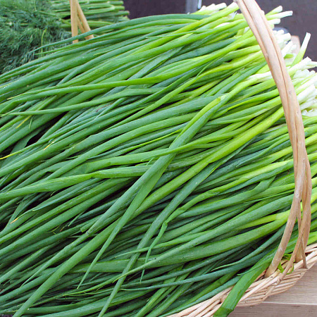 Фото Лук на зелень Тотем 0,8гр