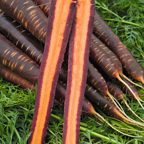 Морковь Пёрпл Хейз F1