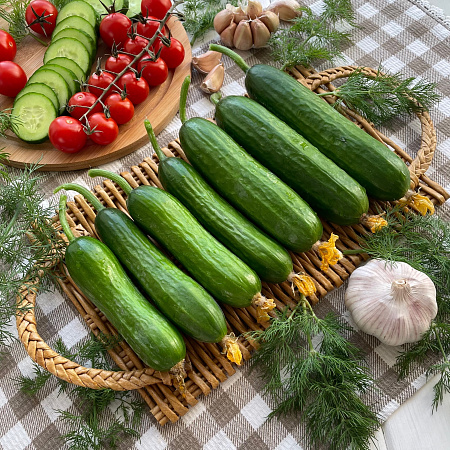 Фото Огурец Пиколино
