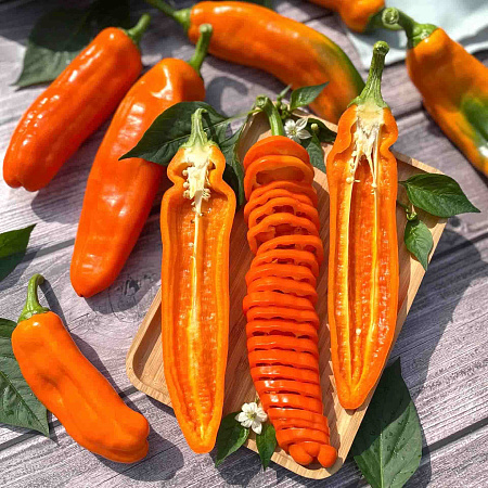 Фото Перец сладкий Палермо оранжевый F1