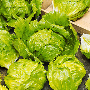 Салат Лагунас