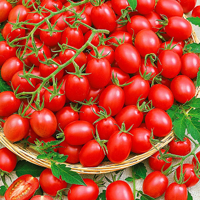 Помидор черри Детский
