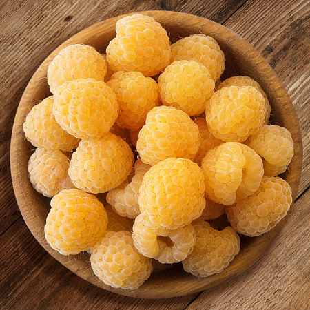 Фото Малина ремонтантная Фолголд