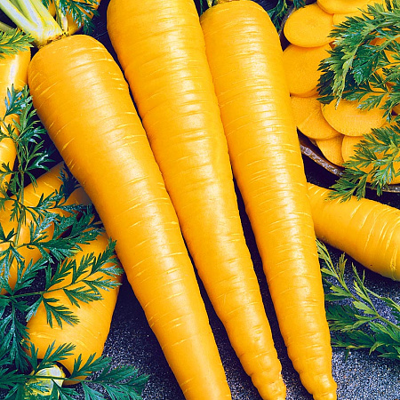 Фото Морковь Таборская