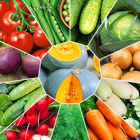 Фото Набор Сады России рекомендуют 2