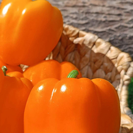 Фото Перец сладкий Оранжевый мармелад