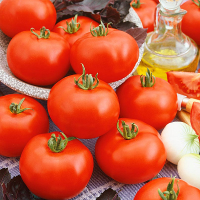 Помидор Снеговик F1