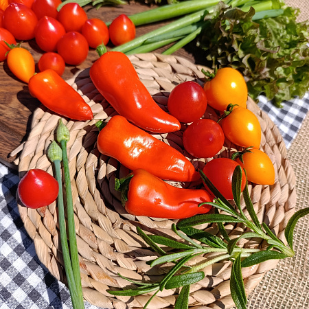 Фото Перец сладкий Пепперс Фром Хевен Мини Свит Оранж F1