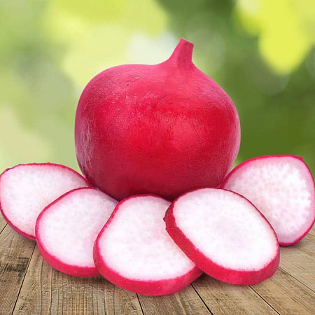 Фото Дайкон Рубиус F1