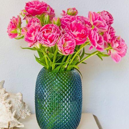 Фото Тюльпан Анна Флер