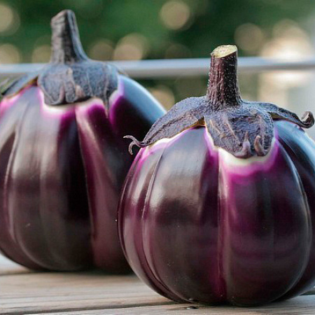 Фото Баклажан Барбарелла F1