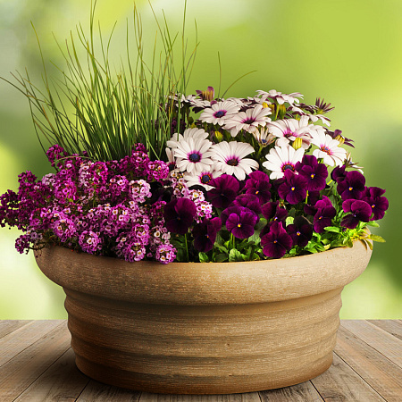 Фото Набор Завтрак в Париже