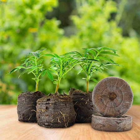 Фото Комплект торфяных таблеток