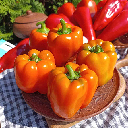 Фото Перец сладкий Оранжевый мармелад