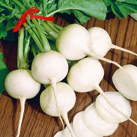 Фото Дайкон Саша