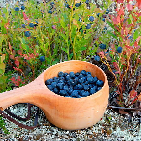 Фото Черника обыкновенная