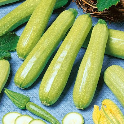 Кабачок Аймаран F1