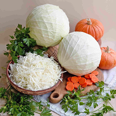 Капуста белокочанная Снегурочка F1