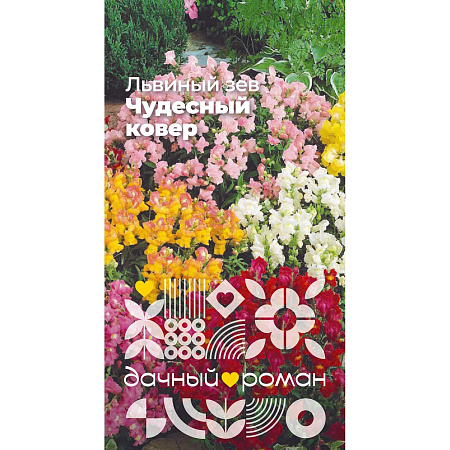 Фото Семена Львиный зев Чудесный ковёр, 0,1 гр. Дачный роман