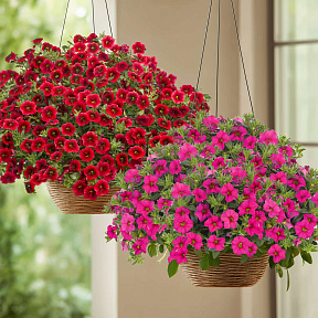 Набор калибрахоа №2