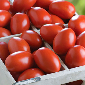 Помидор Гранадеро F1 5шт