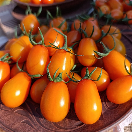 Фото Помидор черри Ваниль F1