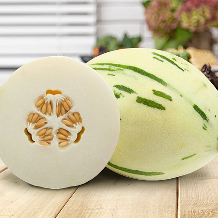 Фото Дыня Фестиваль белый F1