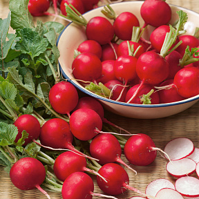 Редис Эскала F1