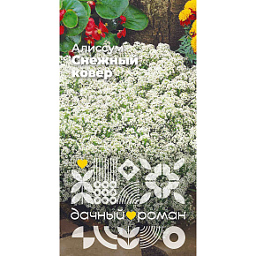 Семена Алиссум Снежный ковёр, 0,3 гр. Дачный роман