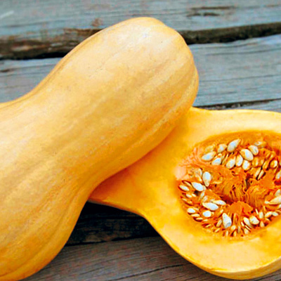 Тыква Матильда F1