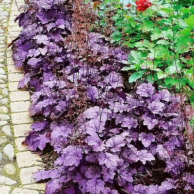 Иловляның жалаңаш қыздары