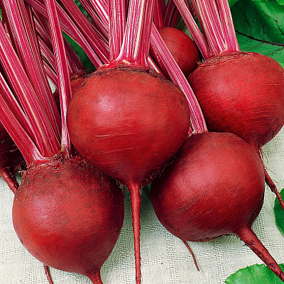 Свёкла Бетти F1