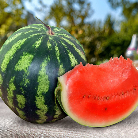 Фото Арбуз Холодок