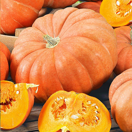 Фото Тыква Парижская F1