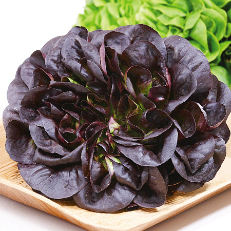 Фото Салат Гоген 5шт