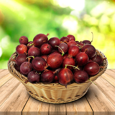 Фото Крыжовник Челябинский