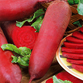 Свёкла Кариллон 1гр