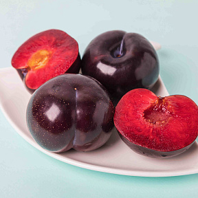 Шарафуга Моруснигра