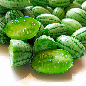 Мелотрия