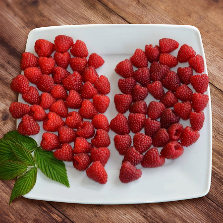 Фото Малина ремонтантная Делнива