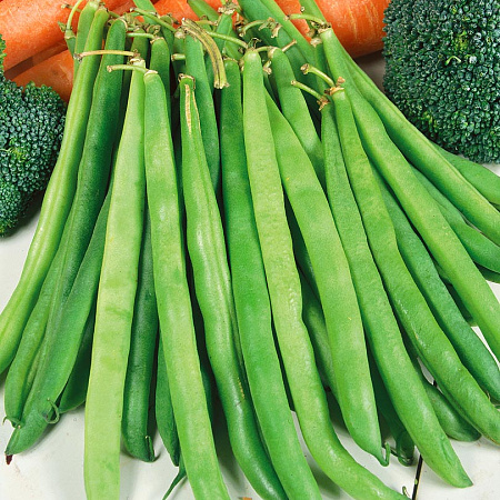 Фото Фасоль Паулиста