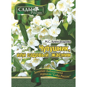 Александрова М.С. "Чубушник или садовый жасмин"~6021