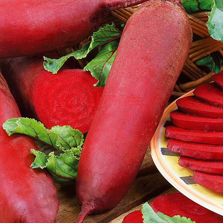 Фото Свёкла Кариллон 1гр