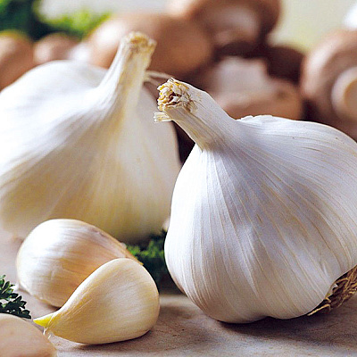 Чеснок озимый Сибирский