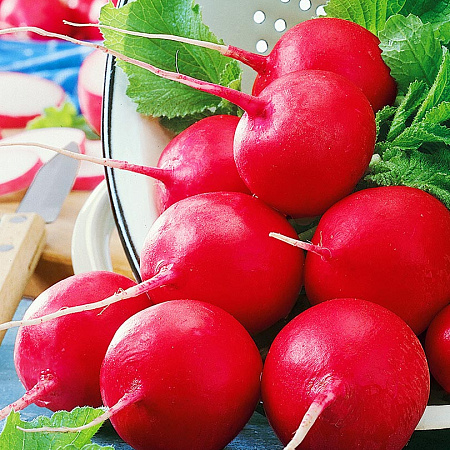 Фото Редис Золотник F1