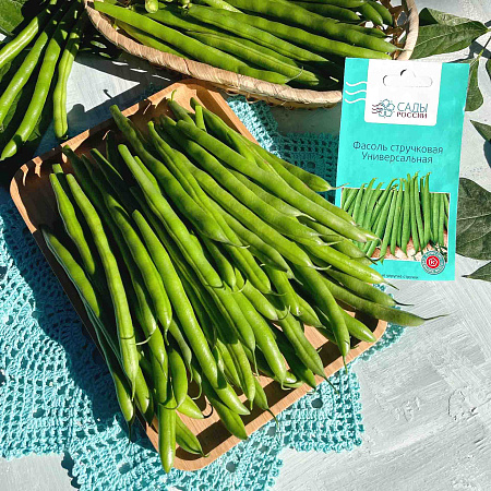 Фото Фасоль Универсальная F1